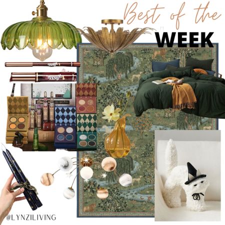 Best of the Week - all of the most clicked items of last week 

Home decor, fall decor, Halloween decor, green decor, Amazon home, Amazon favorites, Amazon light, Amazon bedroom, green flower pendant light, willy wonka lipstick, brown lipstick, she glam makeup, shein makeup, shein favorites, affordable makeup, Harry Potter makeup, Slytherin, Hufflepuff, gryffindor, Ravenclaw, celestial taper candles, etsy finds, etsy favorites, planetary chandelier, Wayfair finds, Wayfair favorites, Wayfair light, green area rug, Ruggable favorites, white cat pillow, Halloween pillow, pottery barn favorites, green duvet set, Amazon bedding, bedding set, gold ceiling light, flush Mount light, lumens favorites 

#LTKunder100 #LTKhome #LTKFind