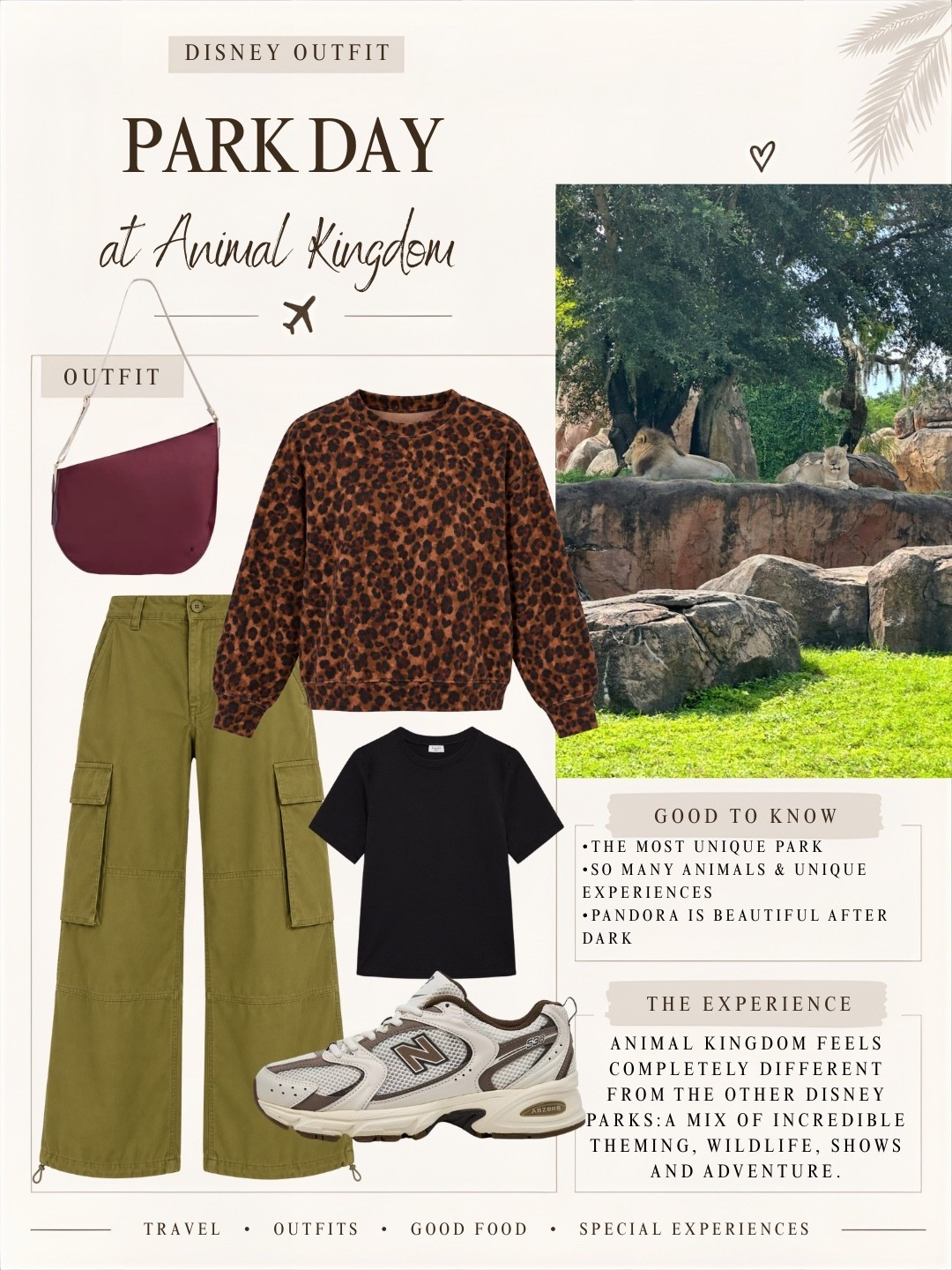 Animal Kingdom Outfit