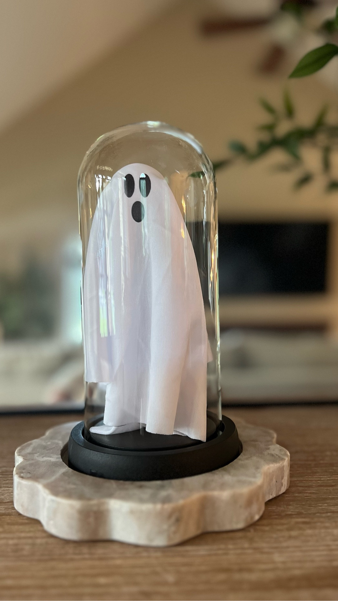 BOO-tiful and on a budget? Yes, please! 👻✨ This ghost cloche is the cutest little haunt and it’s only $15 right now! Perfect for adding a playful touch to your spooky setup without scaring your wallet. 🕯️💀 Run, don’t float! #SpookyCute #AmazonFinds #GhostVibes #HalloweenDecor 

#LTKHome #LTKSeasonal