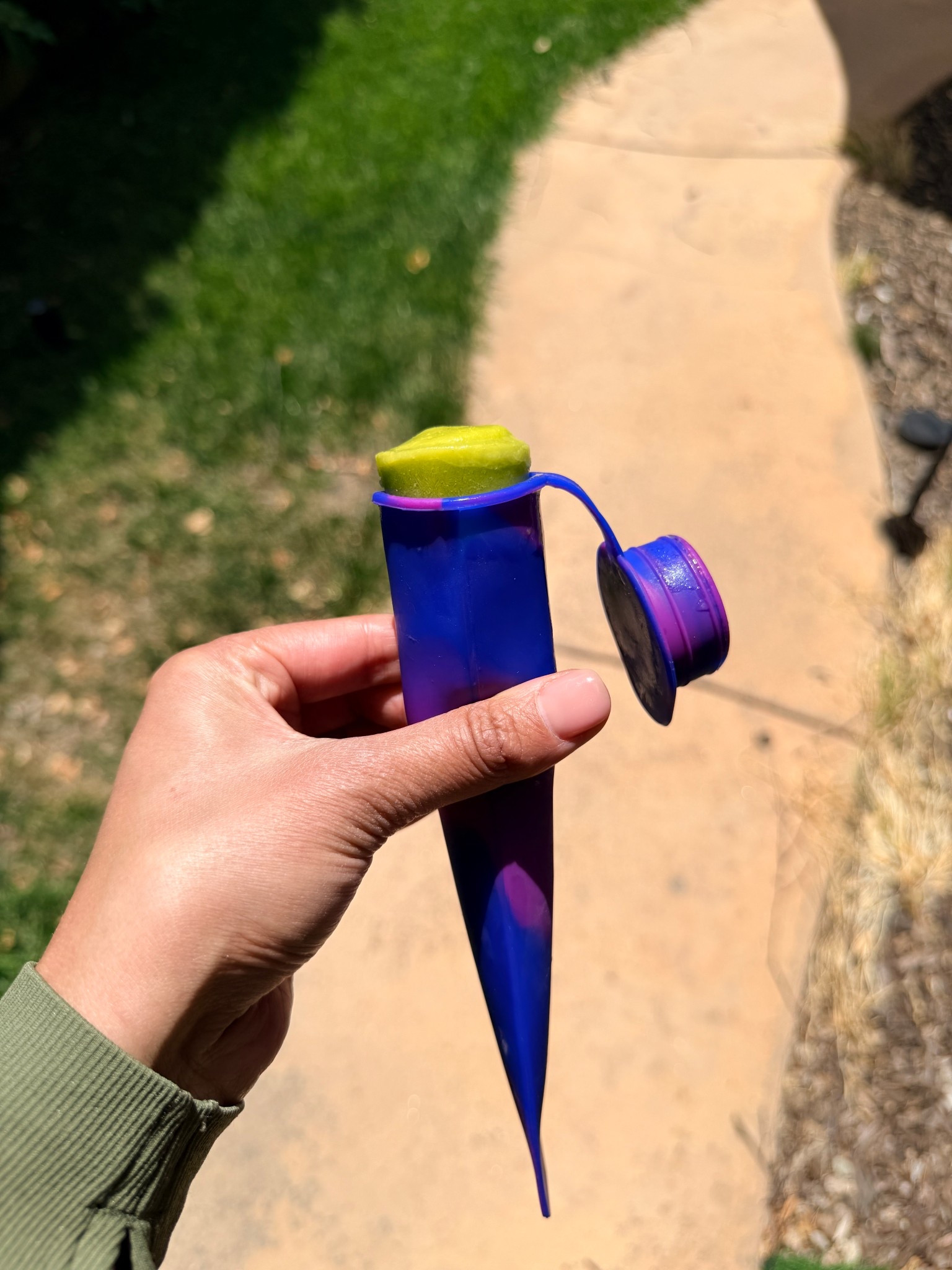 The best summer day popsicle molds // silicone, resealable and reusable 