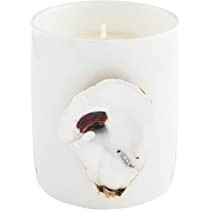 Mud Pie Oyster Ceramic Candle, White, Large, 4" x 3.5" | Amazon (US)