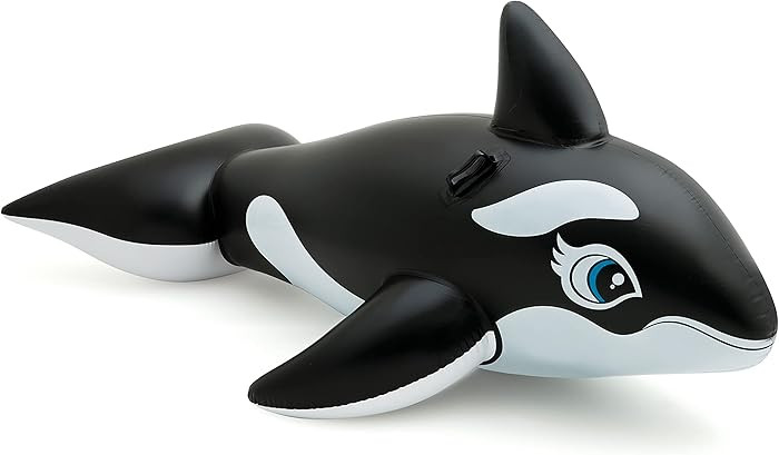 INTEX Inflatable Pool Float: Pool Toy for Kids | Amazon (US)