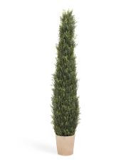 48in Uv Resistant Outdoor Safe Faux Cypress Tree | TJ Maxx
