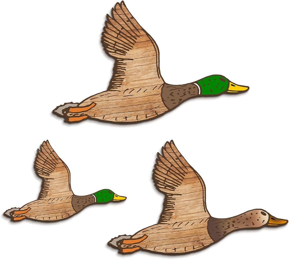 Kas Home Rustic Farmhouse Wall Art Signs, 3Pcs Duck Hunting Wall Decor, Wooden Flying Ducks Decor... | Amazon (US)