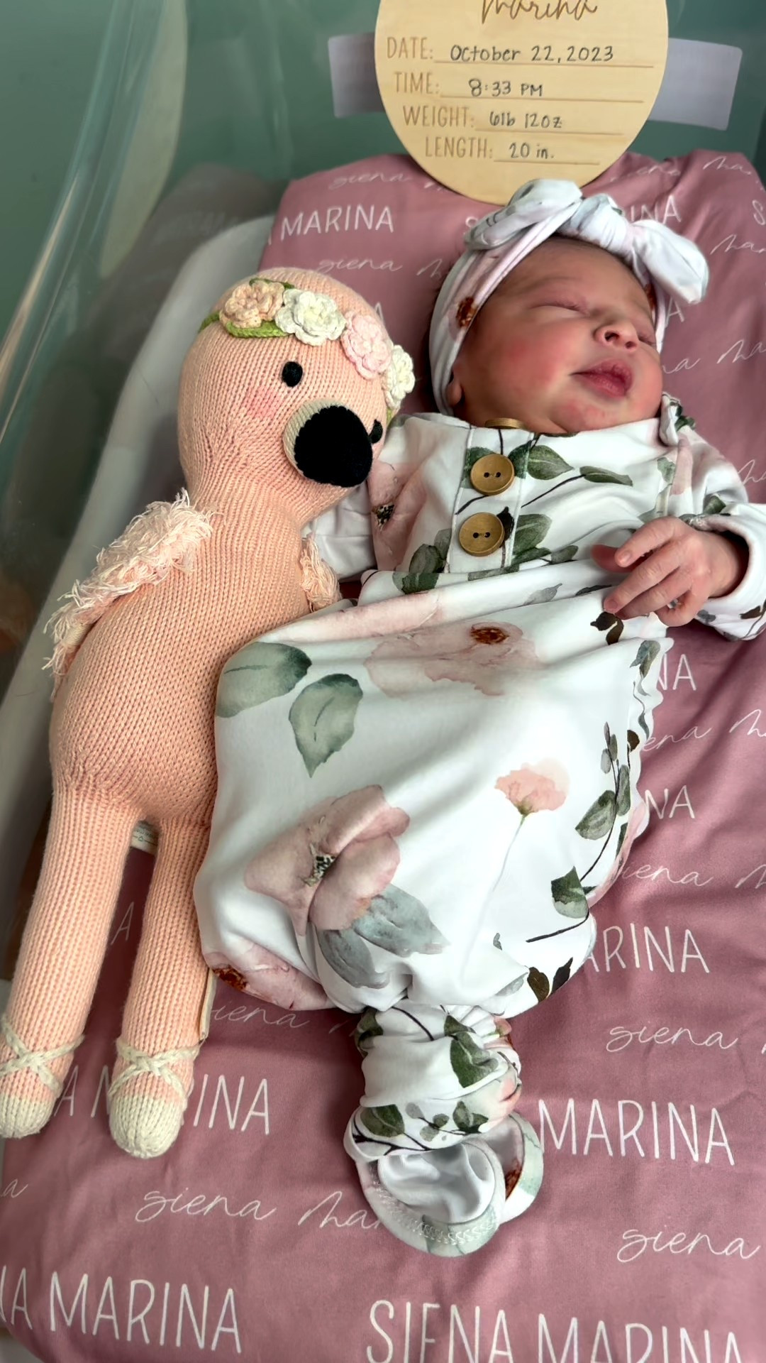 How are we almost 2 years old? 😭💕

Caden Lane sheets & outfits
Cuddle+Kind Flamingos 

#LTKFamily #LTKBump #LTKBaby