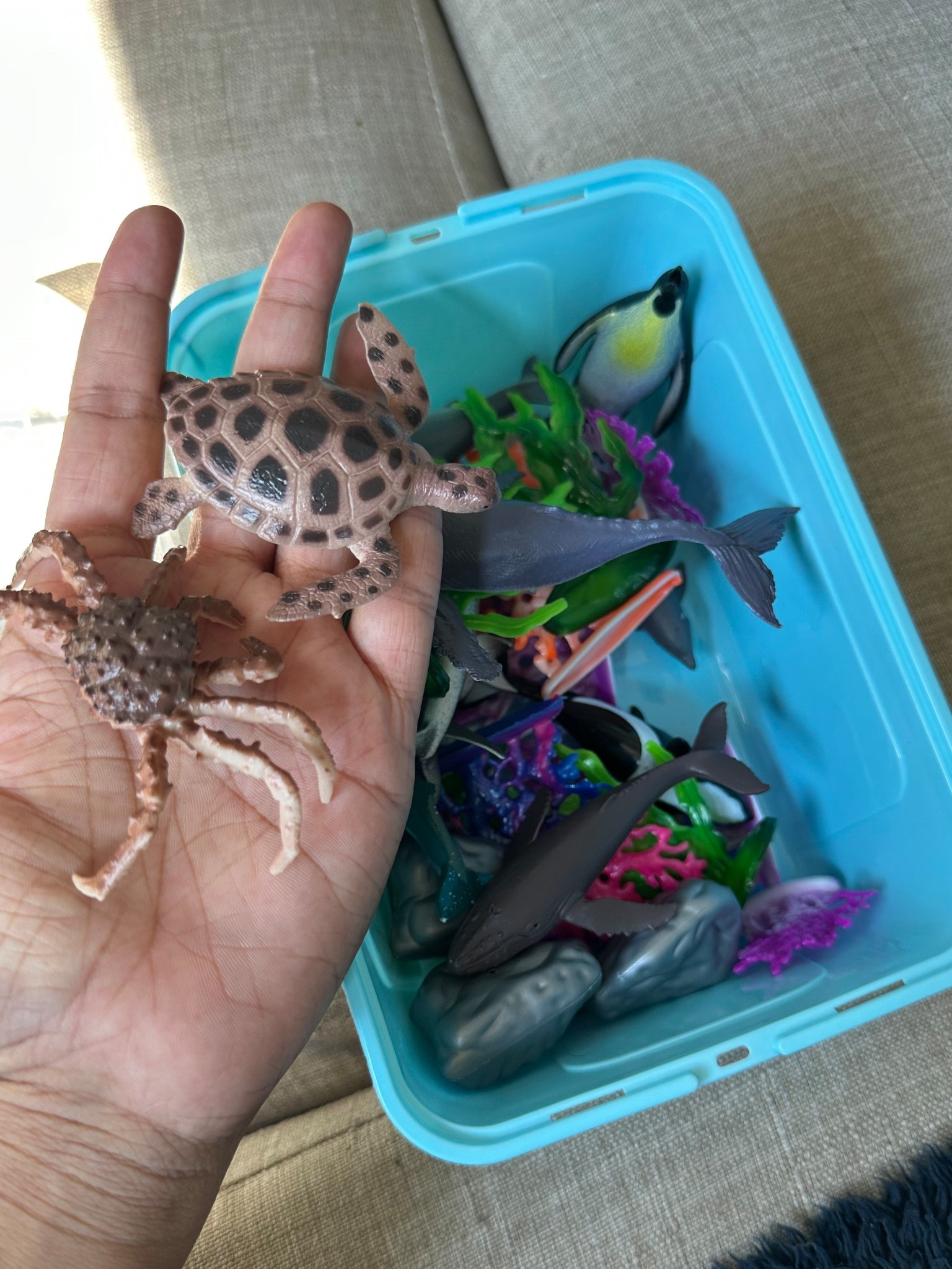 Great quality animals for toddlers - marine life, wild animals, farm animals & dinosaurs 🦕 only for $10

#LTKFamily #LTKKids #LTKFindsUnder50