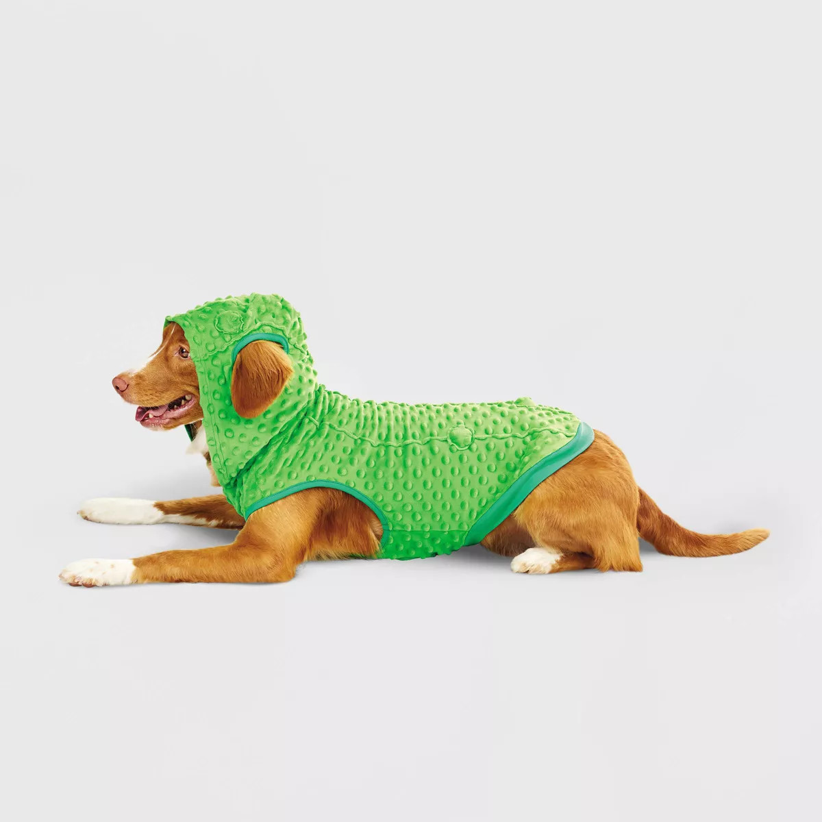Halloween Pickle Cat and Dog Hoodie - Hyde & EEK! Boutique™ | Target