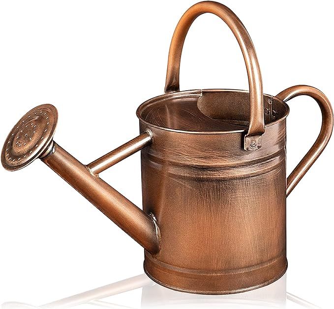 Homarden 81 oz. Copper Watering Can - Metal Watering Can with Removable Spout, Perfect Galvanized... | Amazon (US)