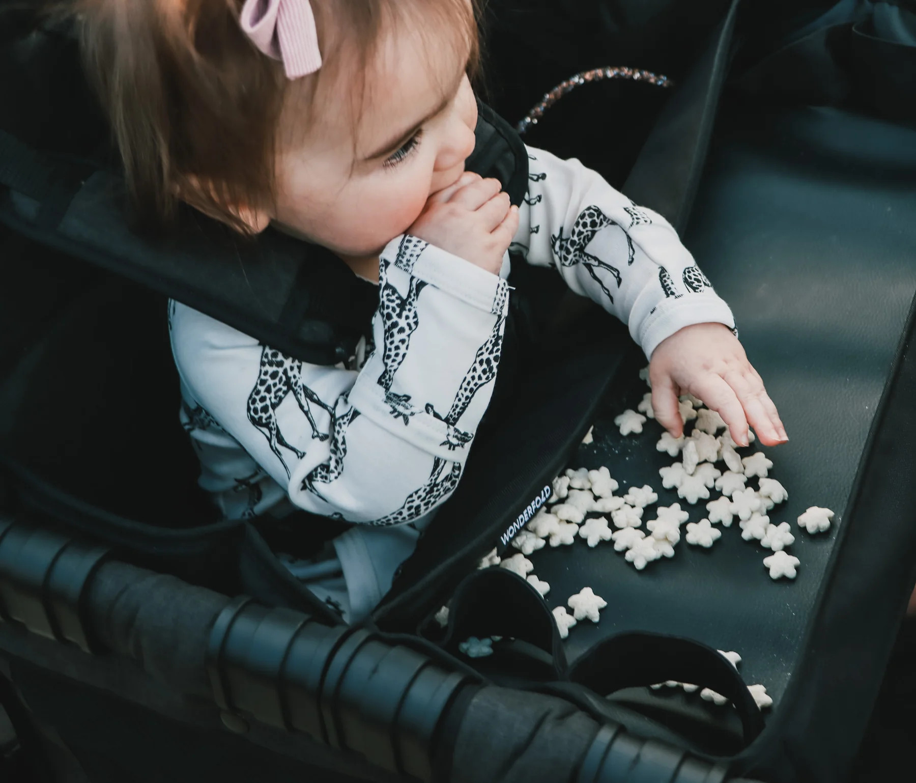 Snack Tray | W Series l WonderFold | WonderFold Wagon