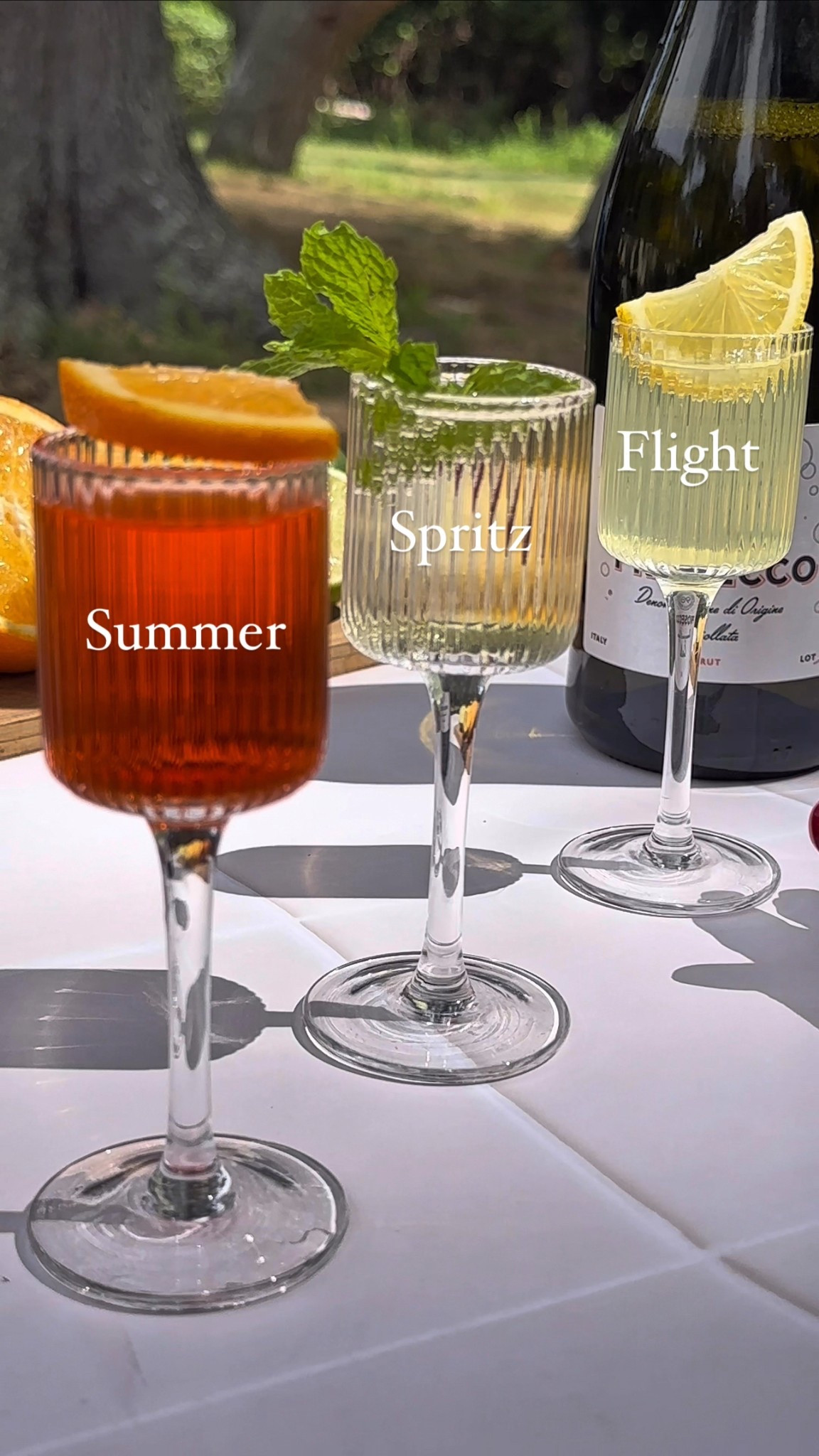 Summer Spritz Flight

Follow me on Instagram and TikTok @drinkswithdanica for this recipe and more 