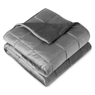 Minky Fleece Weighted Blanket | Wayfair North America