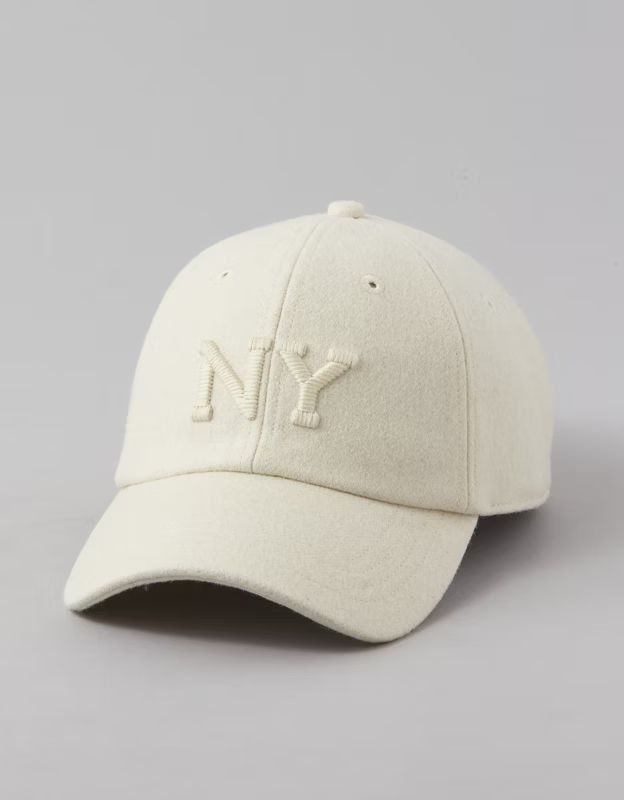 AE Embroidered Baseball Hat | American Eagle Outfitters (US & CA)