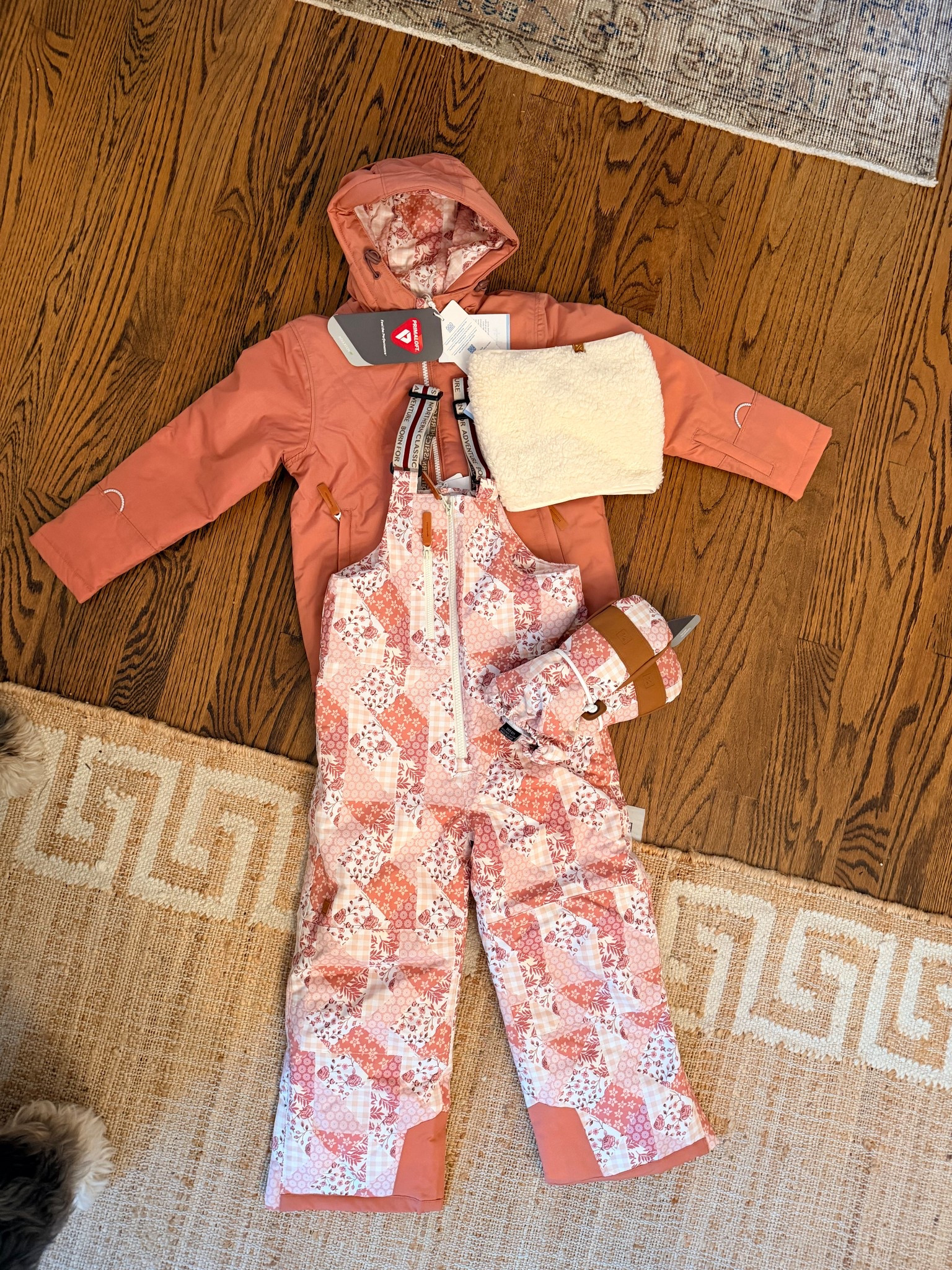 Cutest little girl ski suit? YUP!!!