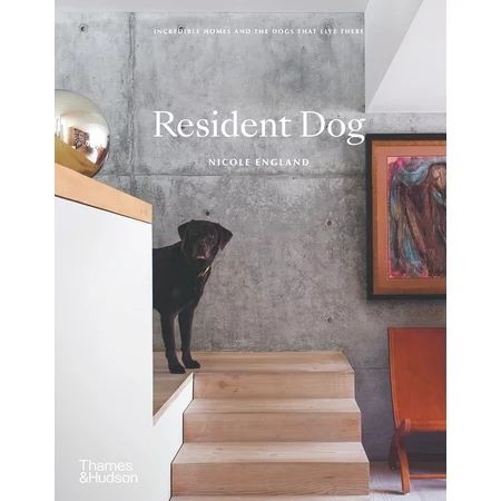 Resident Dog : Incredible Homes and the Dogs That Live There (Hardcover) | Walmart (US)