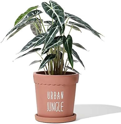 POTEY 055203 Classic Urban Jungle Planter Pot - 5.5 Inch Home and Garden Cement Planter Bonsai Co... | Amazon (US)
