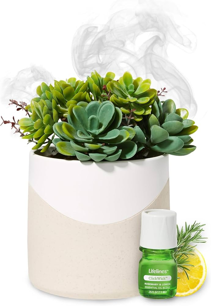 Lifelines Plant Diffuser with Essential Oil Blend - Modern Planter, Succulent - Rechargeable Arom... | Amazon (US)