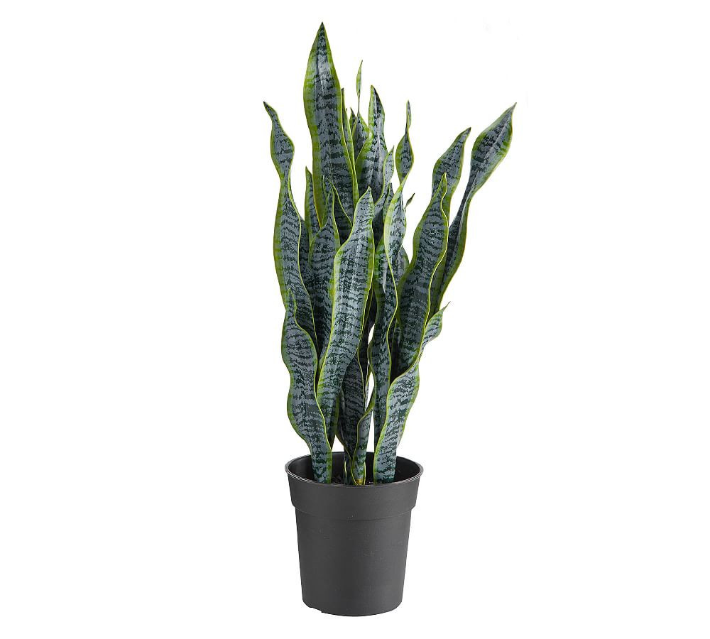 Faux Potted Houseplant, Snake Plant | Pottery Barn (US)