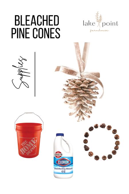 Bleached Pine Cones DIY ✨ | Supplies

#LTKHoliday #LTKhome #LTKSeasonal