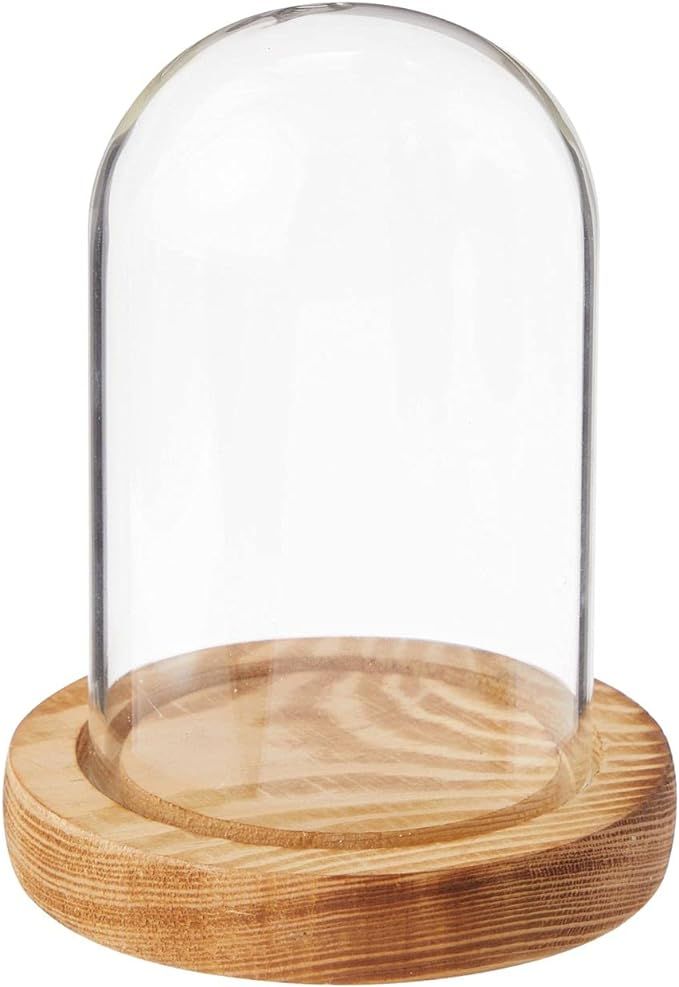 Farmlyn Creek Glass Display Dome Cloche with Wooden Base for Home Decoration (3.5 x 4.7 in) | Amazon (US)
