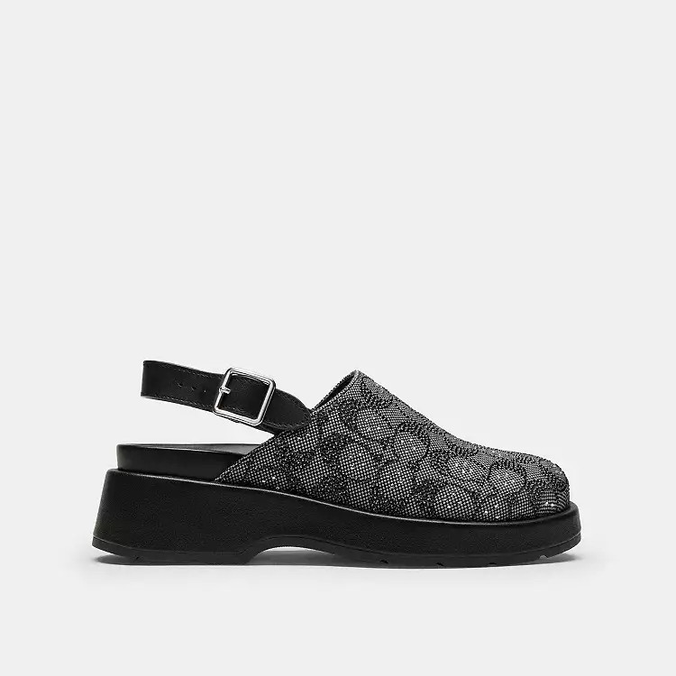 Sculpted C Platform Clog | Coach (US)