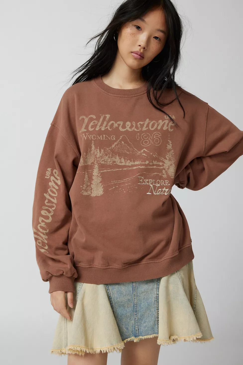 Yellowstone Embroidered Graphic Sweatshirt | Urban Outfitters (US and RoW)