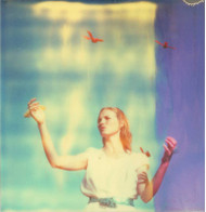Haley and the Birds (29 Palms, CA) - Limited Edition of 10 Photography by Stefanie Schneider | Sa...
