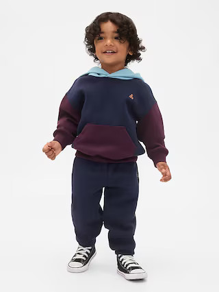 Baby & Toddler VintageSoft Colorblock Hoodie Set | Gap (US)