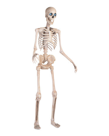 8ft Outdoor Animated Glow In The Dark Talking Skeleton | Halloween | Marshalls | Marshalls
