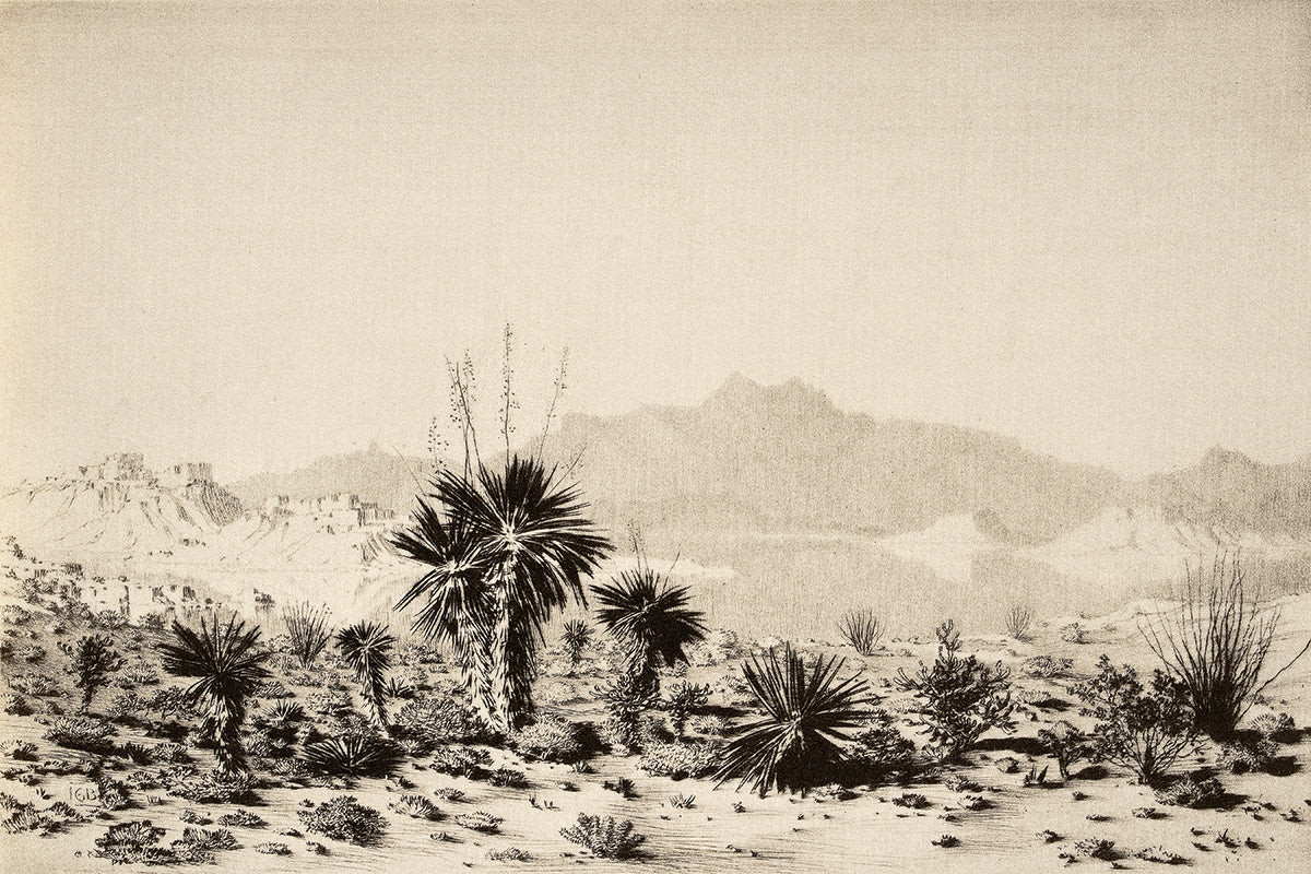 Yucca | Juniper Print Shop