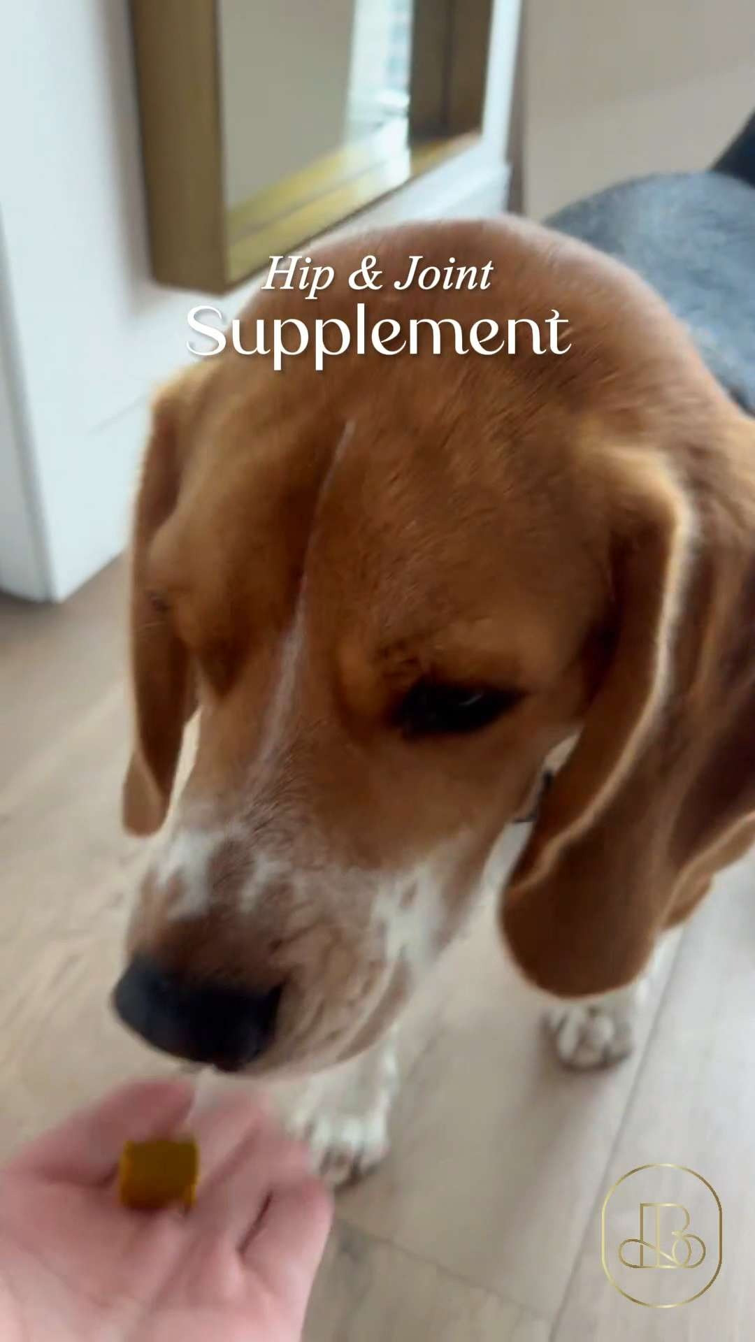 A simple way to support happy movement for dogs 🦴These hip & joint supplements are an easy add to daily routines, made to support mobility and flexibility with ingredients dogs actually enjoy. Great for active pups or those needing a little extra joint love 🐶 #LTKpets #doghealth #petmusthaves #jointsupport #dogsupplements 

#LTKHome #LTKFindsUnder50