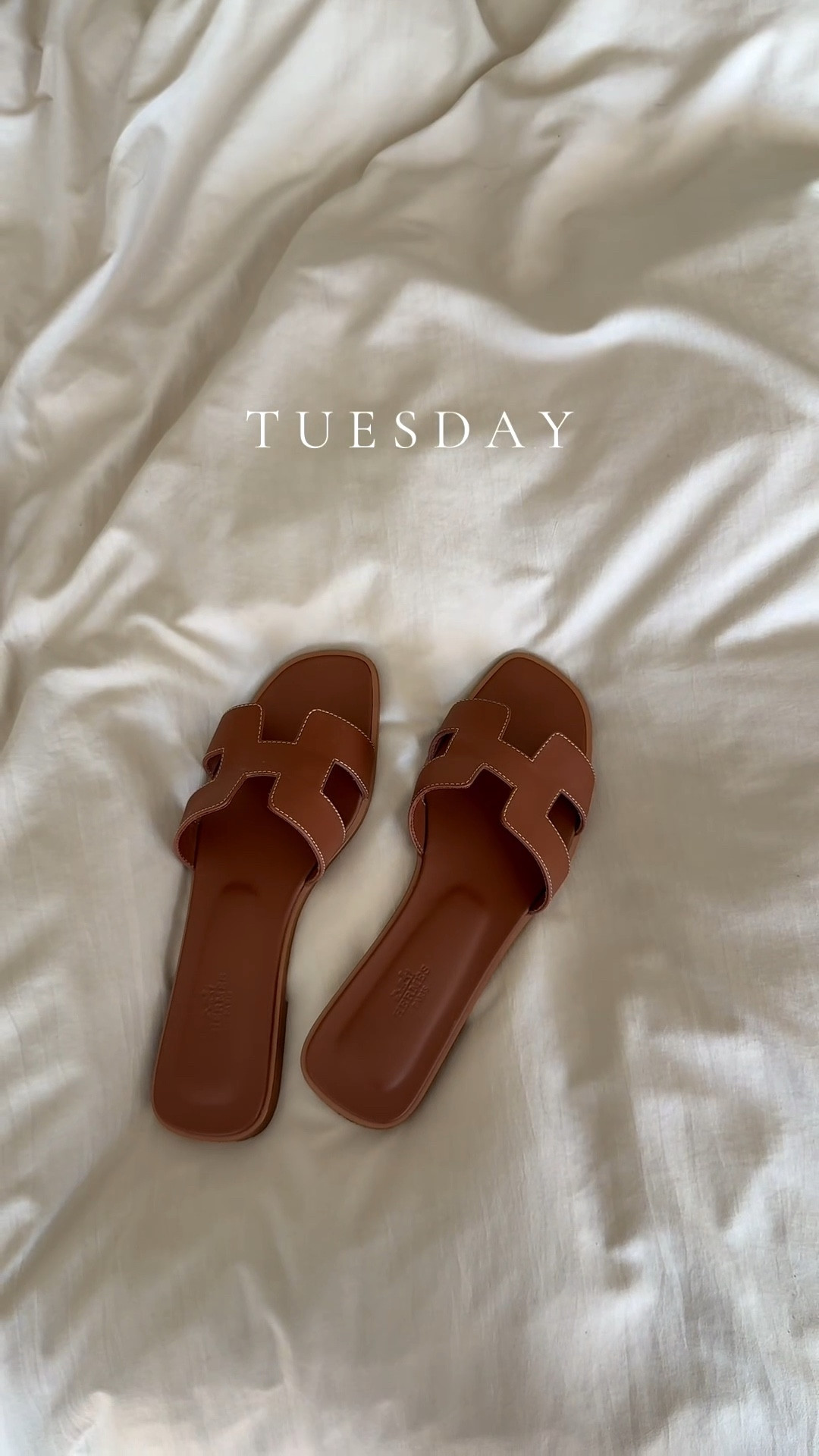 ✨ 7 days, 7 shoes ✨ A week’s worth of designer looks—because every outfit deserves its moment. #LTKstyle

#LTKStyleTip #LTKSeasonal #LTKTravel