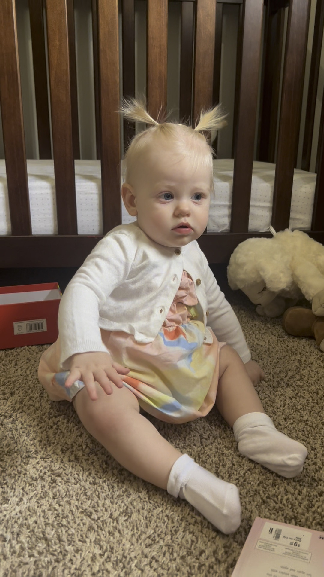 Baby Girl Spring Fashion🌸

I just love this pastel dress that she wore for Easter & can wear throughout the season!🌻💐🌼



#LTKSeasonal #LTKbaby #LTKkids