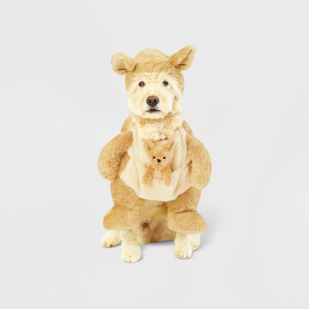 Halloween Kangaroo with Toy Joey Dog Costume - XL - Hyde & EEK! Boutique | Target