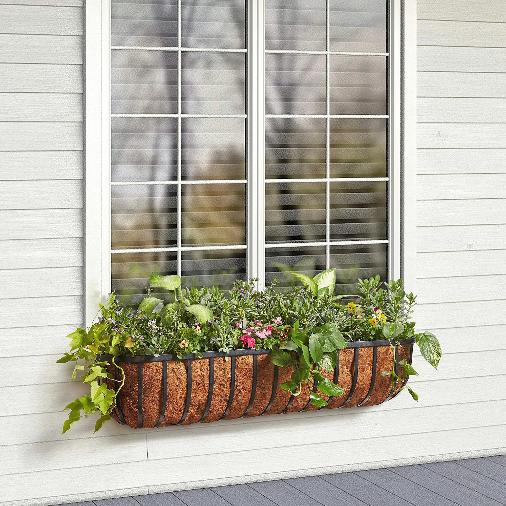 Rotella Metal Planter | Wayfair North America