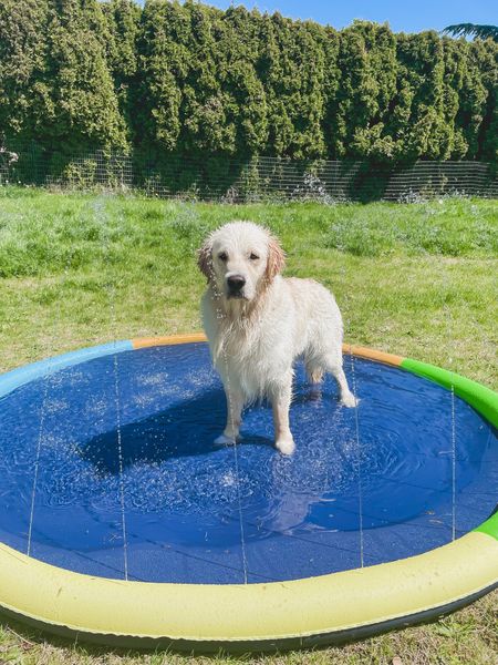 Summer is in full swing when the splash pad comes out 💦

#LTKunder50 #LTKhome #LTKswim