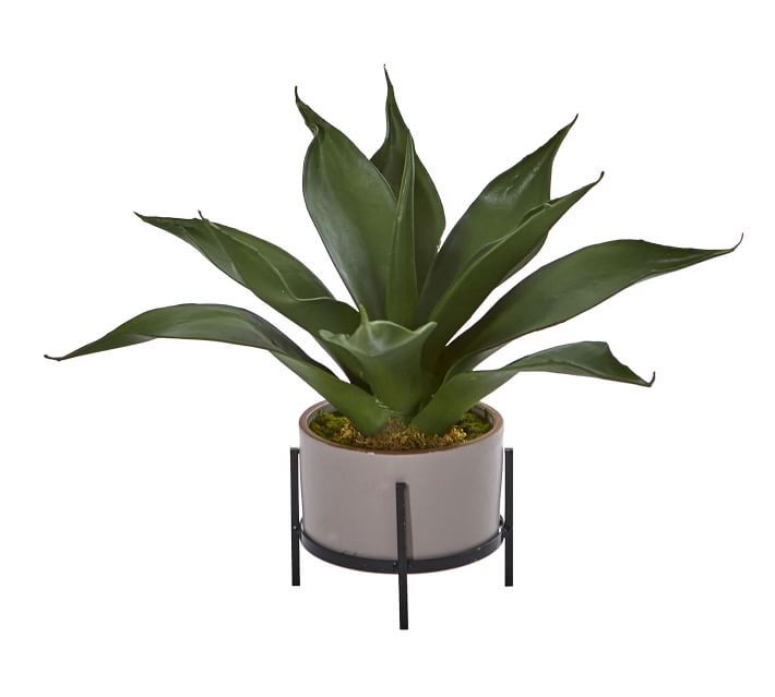 Faux Agave Succulent in Decorative Planter | Pottery Barn (US)