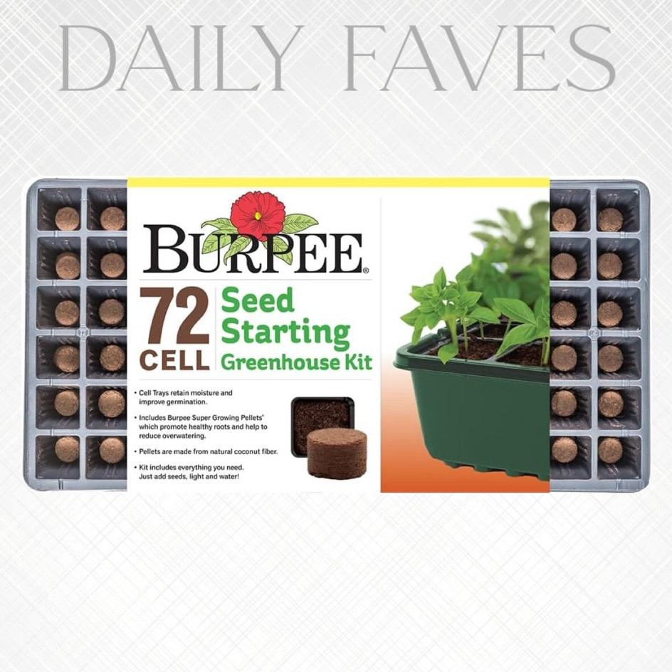 Seed starting kits!

#LTKkids #LTKfamily