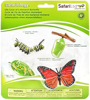 Safari Ltd Life Cycle of a Monarch Butterfly | Amazon (US)