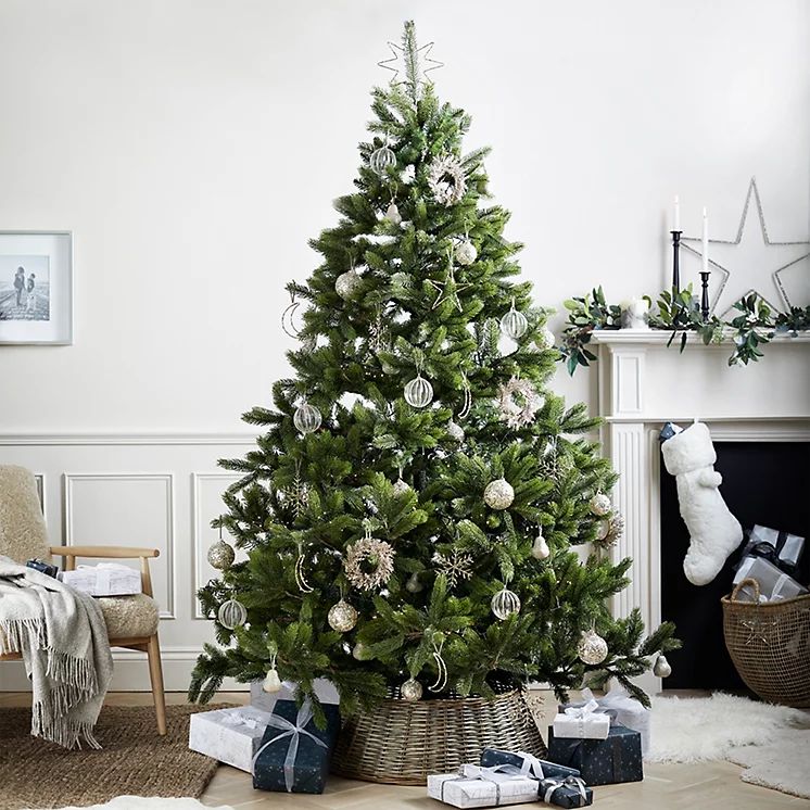 Symons Nordmann Fir Christmas Tree - 7.5ft | The White Company (UK)