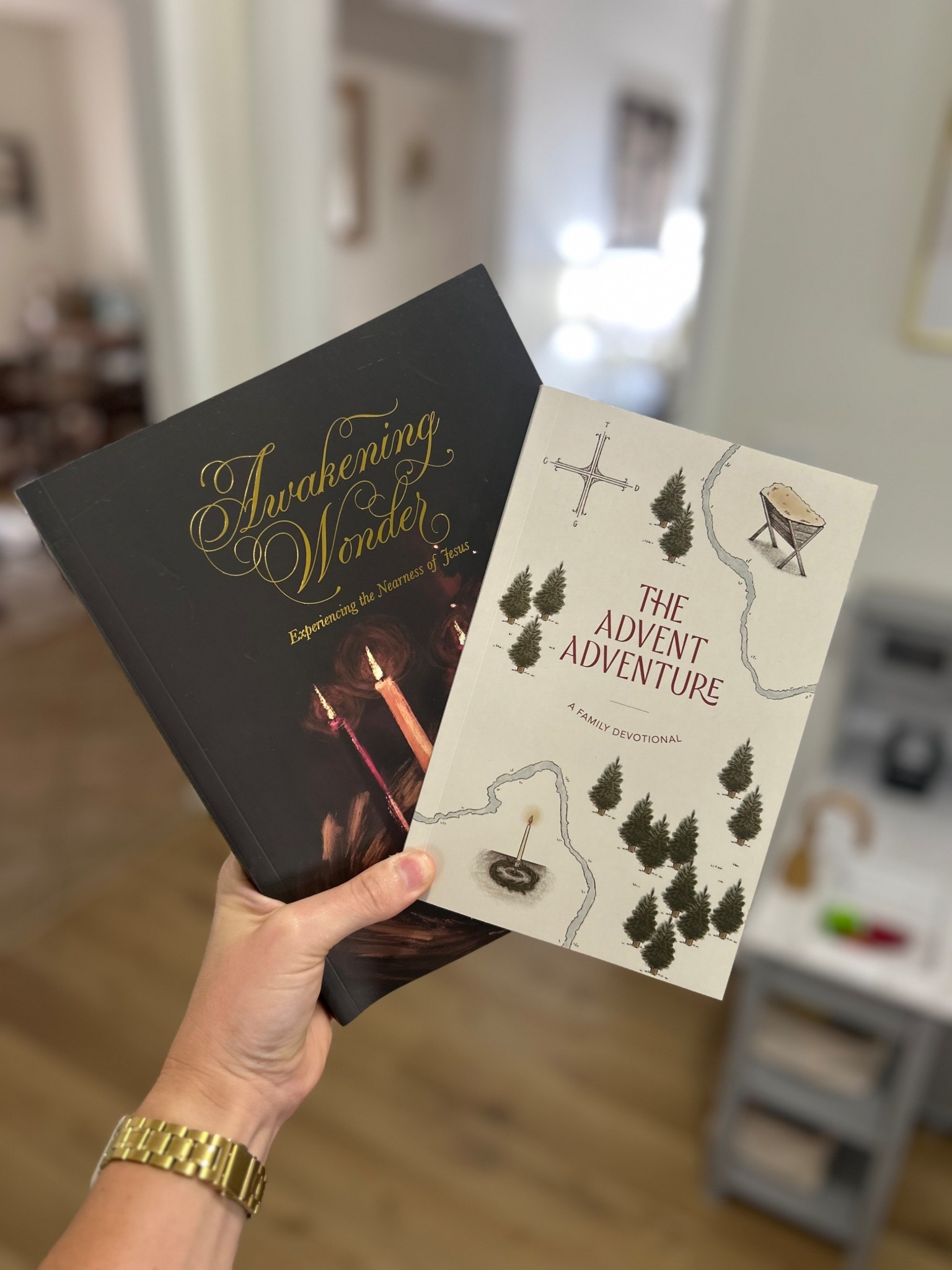 Advent devotional! Christmas devotional from Daily Grace

#LTKSeasonal #LTKKids #LTKFamily