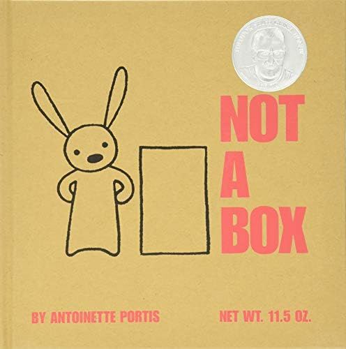 Not a Box | Amazon (US)