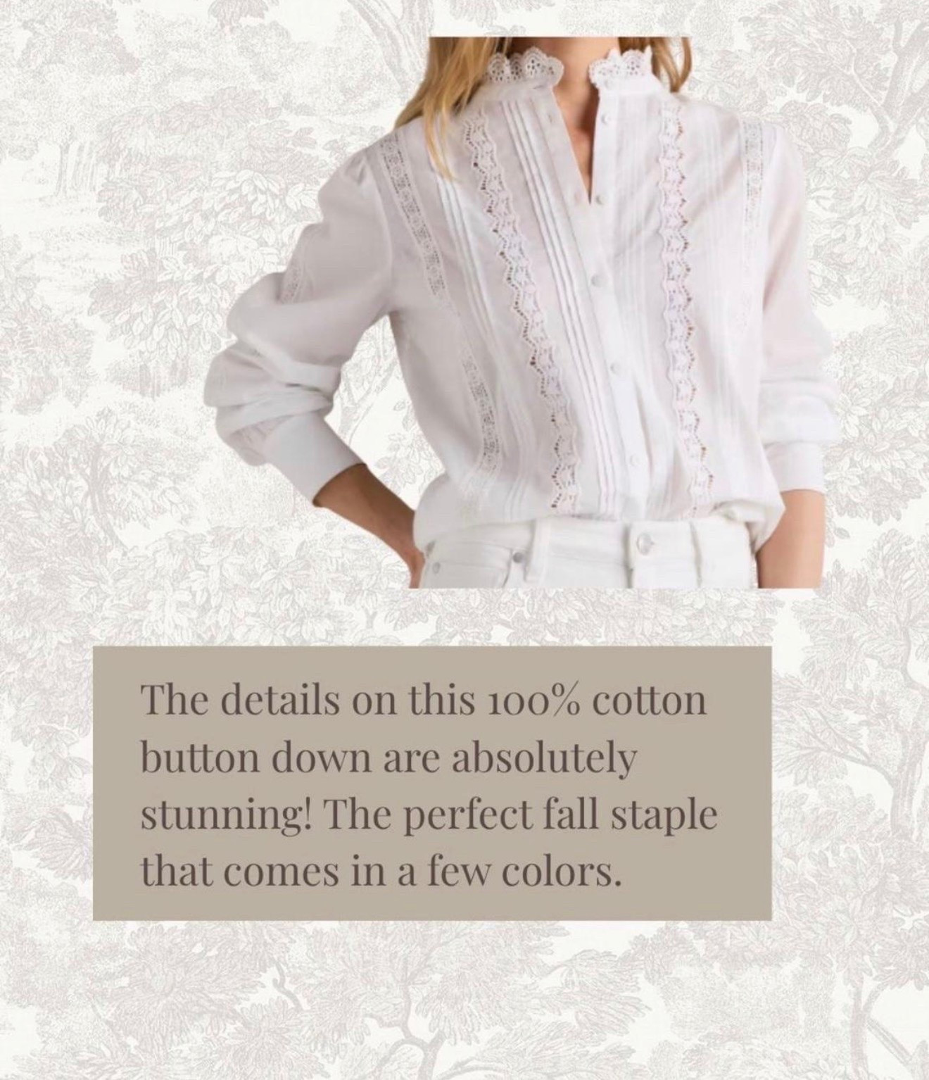 A cute white top can be carried into any season making it such a good closet staple you'll reach for again and again! Grabbing this one to pair with jeans or a skirt!

#LTKootd #LTKSeasonal