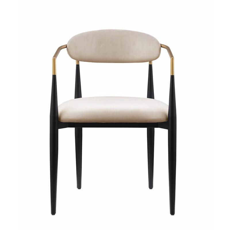 Wade Logan® Arsema Velvet Upholstered Back Arm Chair Dining Chair & Reviews | Wayfair | Wayfair North America