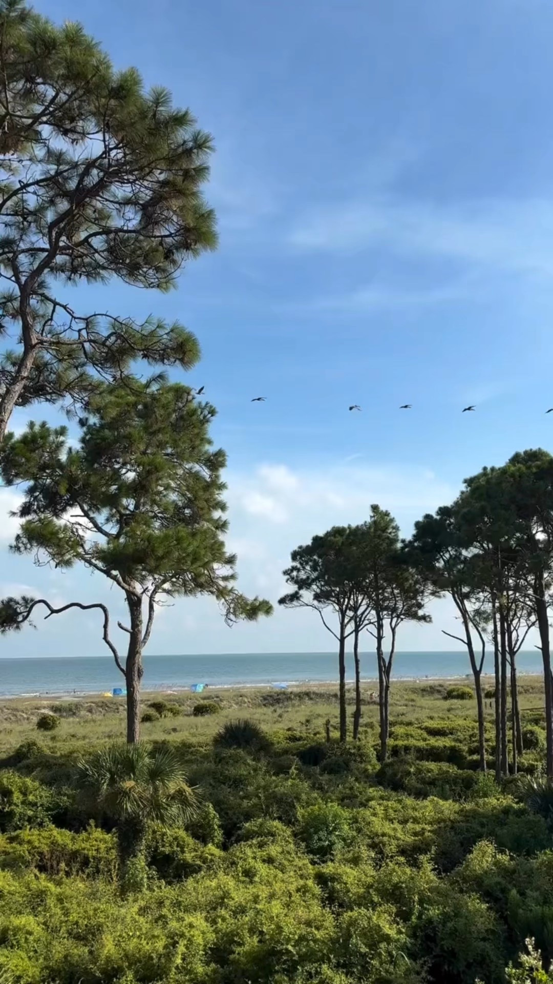 I have really enjoyed this workbook to practice watercolors. I’m not an artist so this is an easy way to learn and practice. 
