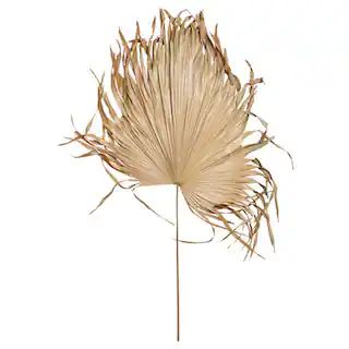 68" Dried Palm Fan Leaf | Michaels | Michaels Stores