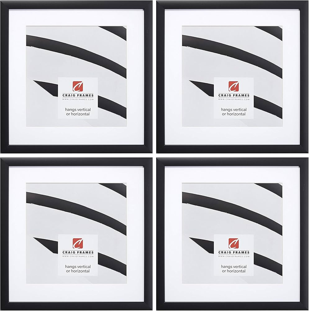 Craig Frames 1WB3BK 16 by 16-Inch Black Picture Frame, White Mat with 12 by 12-Inch Opening, 4-Pi... | Amazon (US)