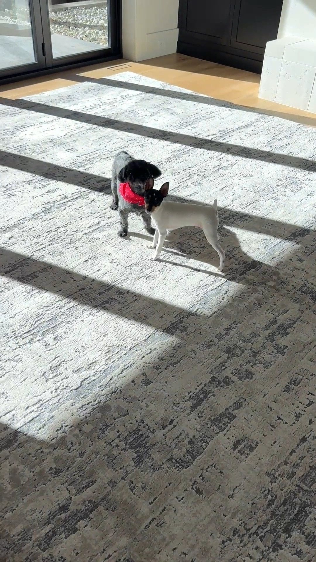 Exact rug is custom made from carpet. You can find all the details here: https://melissa-liddiard.mykajabi.com/custom-rug-guide



#LTKmomlife #LTKHome #LTKdayinmylife