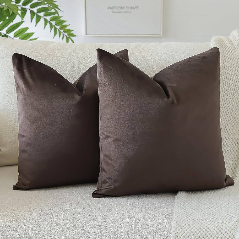 OTOSTAR Pack of 2 Velvet Soft Decorative Throw Pillow Covers Solid Square Cushion Case Home Decor... | Amazon (US)