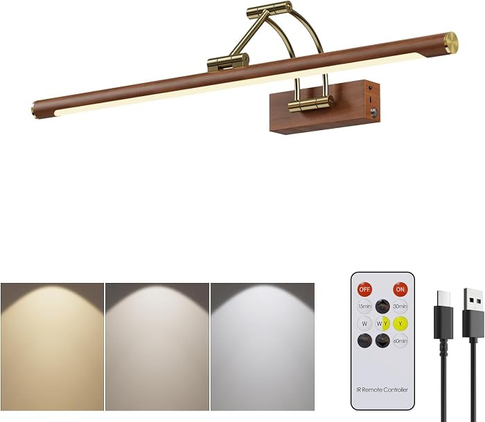 Wireless Picture Lights for Wall Rechargeable,16 inch Battery Operated Art Light for Paintings,3C... | Amazon (US)