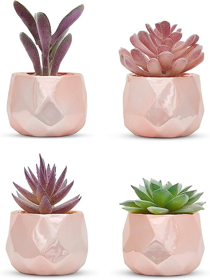 Nordik Set of 4 Desk Plants in Rose Gold - Office Decor for Women, Indoor, Living Room, Bedroom, ... | Amazon (US)